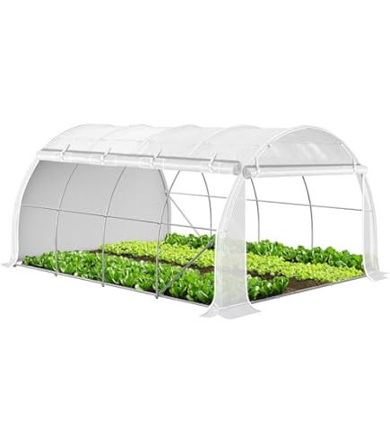 Smartmaxx - Coperchio Trasparente Per Serra Da Interni 38x24x13 Cm Con Regolatori Di Ventilazione - 5
