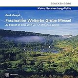 Image de Faszination Welterbe Grube Messel: Zu Besuch in einer Welt vor 47 Millionen Jahren (Kleine Senckenbe