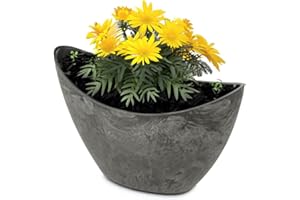 ‎MATCHES21 HOME & HOBBY matches21 HOME & HOBBY Ovale Pflanzschale für draußen 20 x 9 x 12 cm - Hohe Vintage Deko-Schale schwarz als Blumen-Topf