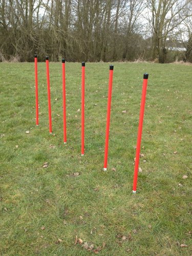 jessejump-3-piece-agility-set-due-to-amazons-new-postage-policy-we-can-only-post-this-item-to-mainland-uk-England-Wales-and-Scotland-only