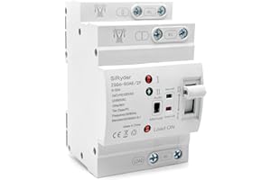 SiRyder Automatischer Transferschalter, ATS 2P 63A DIN Schiene Dual Power Automatischer Transferschalter Elektrische Wahlschalter 220V Notstrom Umschalter