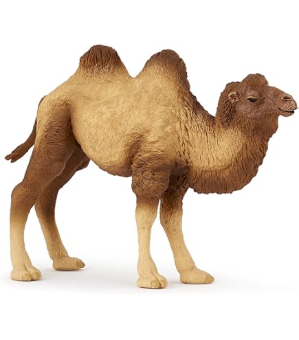 Chameau XL - Animaux réaliste en résine | Déco et Artisanat
