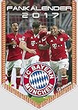 FC Bayern Kalender 2017 - Bannerkalender A4, Fussball Kalender, Fankalender, FCB Kalender 2017, FC Bayern München Kalender 2017 - 21 x 29,7 cm by