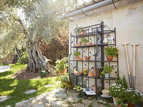 Florabest® Garten Eckregal Pflanzentreppe Blumenregal Pflanztreppe - 4