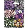 RHS Flowers for Hanging Baskets 6 Varieties Seed Collection : Amazon.co ...