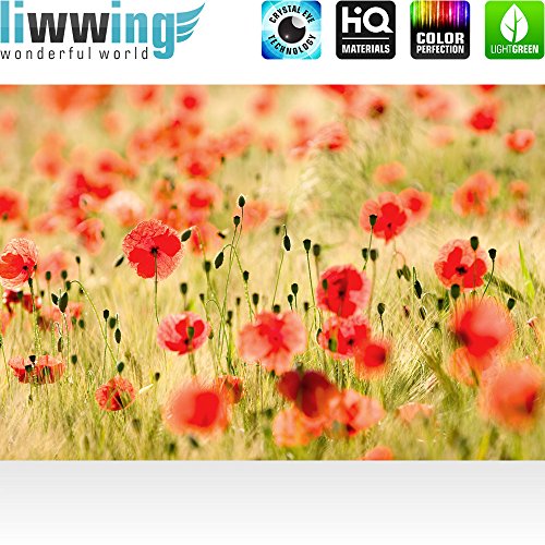Vlies Fototapete 350×245 cm PREMIUM PLUS Wand Foto Tapete Wand Bild Vliestapete – DREAM OF POPPIES – Romantik Mohn Feld Blumen Gras – no. 070 - 2