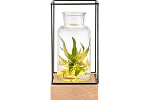 Upplyst glasvas från Gadgy®l bordsvas med armatur l Modern/skandinavisk/industriell stil l 22,5 x 10,8 x 10,8 cm
