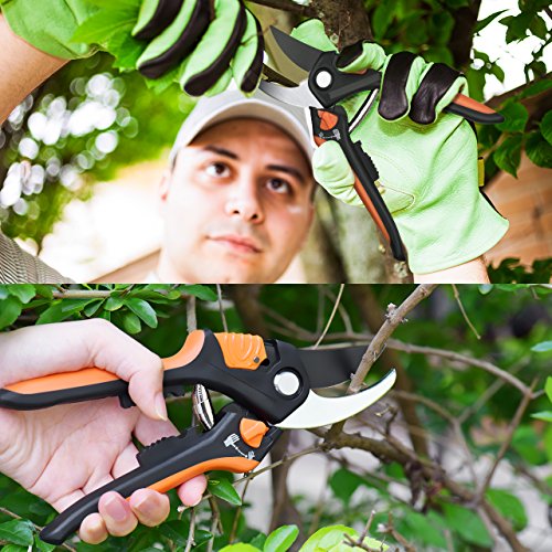 Gartenschere Kit, OMorc Rebschere Set Blumenschere Holzschere Astschere Baumschere mit 1 Paar Bypass Pruner und 1 Paar Slim Garden Schere ideal für Scheren Zweige, Stängel, kleine Pflanzen und Kommissionierung Früchte. - 6