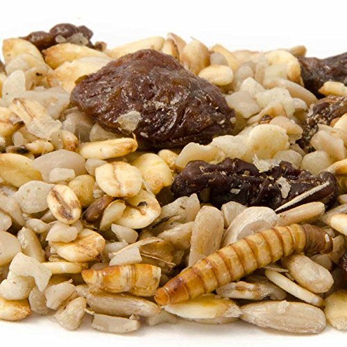 CJ Wildlife 120560815 Wild-Vogelfutter Rotkehlchen Menü 1 kg – empfohlen vom NABU und dem LBV - 2