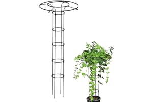 BAOQIFONG Ombrello verticale per piante a traliccio | Graticcio da giardino per piante rampicanti e fiori | Supporto per vasi di fiori fai da te per traliccio rampicante Paletto in filo metallico antiruggine