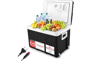 TZS First Austria - Kühlbox 45L elektrisch 12V 230V Anschluss für Auto & Steckdose - Thermoelektrische Cool Box kühlt & wärmt - Mini Kühlschrank mit Rollen - Für Camping, Festivals, Reisen - Schwarz