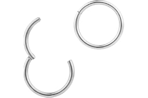 365 Sleepers G23 Titanio Unisex Septum Tragus Helix Segmento con bisagras Nariz Labio Anillo Pendientes de aro Joyería piercing del cuerpo 20G 18G 16G 14G 12G 10G 8G