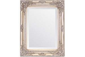 Select Mirrors Rhone Mirror - French Vintage, Antique Baroque Style - 42cm x 53cm - Chic Home Decor (Antique Champagne)