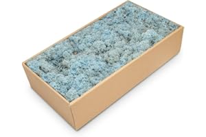 NaDeco Islandmoos in Natur und 30 weiteren Farben zur Auswahl | Deko-Moos | Rentier-Moos | Reendier Moos | Bastel-Moos | Dekomoos | Moos-Deko, Farbe:Aquamarin