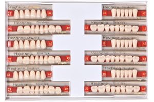 Angzhili 84 Pcs Dental Acrylic Resin Denture False Teeth 3 Sets Synthetic Polymer Resin Denture Teeth 23 Shade A2 Upper + Lower Dental Materials