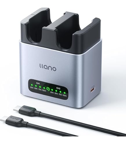 Panasonic Lumix DMW-BTCD15E | Chargeur BTCD15 (Compatible