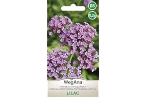 WegAna Verbena Patagónica Lila 0.2g, flores de verano, plantas de jardín plantas de balcón, semillas de flores, semillas de flores, imán para mariposas