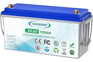 OASESENERGY Batterie au lithium LiFePO4 24V 100Ah, batterie à décharge profonde avec BMS 100A, jusqu'à 15000 cycles, durée de vie de 10 ans, pour système solaire, camping-car, camping, bateau, moteur à la traîne