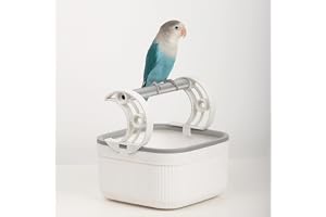 Portable Bird Desktop Training Stand and Perch, Interactive Parrot Play Gym, Bird Activity Center with Swing for Small to Medium Birds such as Budgies, Cockatiels, Lovebirds,and More