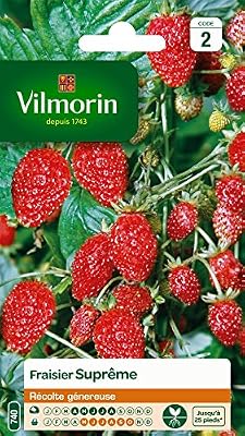 Vilmorin 3585042 Pack de Graines Fraisier 4 Saisons Suprême