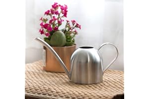 DAMOHONY Mini Arrosoir de Jardin en Acier Inoxydable, 500 ml Petit Arrosoir d'intérieur d'Extérieur avec Bec étroit, Arrosoir Vintage, pour la Maison, le Jardin, les Plantes Succulentes, Argenté