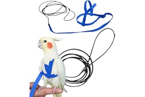 Newsmy Bird Harness Adjustable Feather Tether Parrot Harness Leash Outdoor Training Carrier for Budgerigar Lovebird Cockatiel Mynah Cockatoo Parakeet Macaw (Blue S)