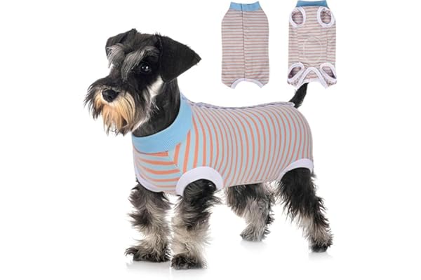 KUTKUT Small Dogs Cat Striped Recovery Suit Post Surgery Shirt for Female and Male Dog, E-Collar Alternative Wound Protective Anti-Licking Clothes for Small Dogs (Size: M, Chest: 41cm)