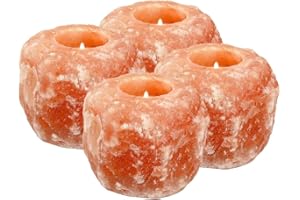 HSD HIMALAYAN SALT DIRECT GeoFossils - Portavelas (sal del Himalaya, 2 unidades)