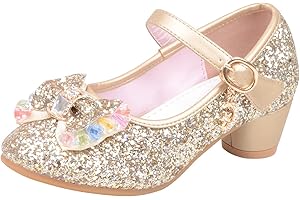 TMDD Glitter Princess Shoes Girls Sparkly Cinderella Cosplay Party Mary Jane Shoes Bridesmaid Wedding Dress Prom Slip on Buckle Shoes Low Heel Court Sandals