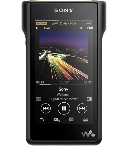 Sony Nw-ZX507 64GB Walkman Hi-Res Digital Music Player with 3.6