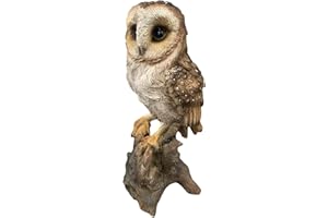 G&H DECOR Statue d'oiseau Sauvage - Figurine Peinte à la Main - Détails complexes adaptés à Une Utilisation en intérieur ou en extérieur - Décor de pelouse résistant au Gel et à la décoloration (Hibou)