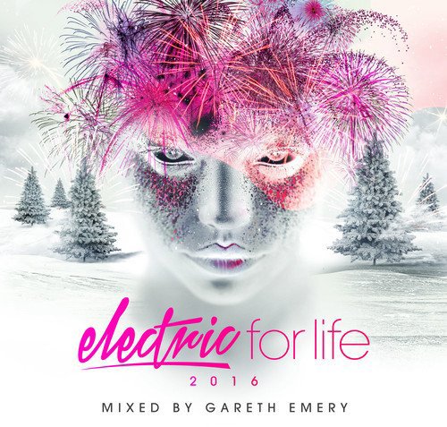 Book's Cover of Electric for Life 2016