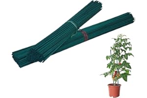 Oakland Gardens Green Flower Sticks Bamboo Split Garden Canes Plant Support 12" 18" 24" 30" 36"(24" Split Canes x 30)