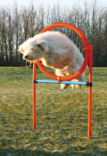 Trixie-Dog-Activity-Agility-Ring-115--3-cm-65-cm-Orange-Blue