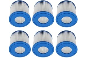 WuYan Cartucho de Filtro de Repuesto Compatible con Bomba de Filtro para Best-way58381/Typ I, Paquete de 6 filtros