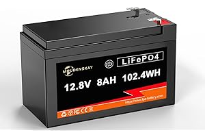 MOUDENSKAY 12V 8Ah LiFePO4 Batería de Litio Batería de Litio 12V, Batería de Litio Hierro Fosfato, con más de 3000 veces de ciclo profundo y protección BMS para RV, solar, marina, etc.