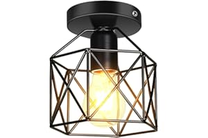 PETITES ECREVISSES Sencilla Estilo Nórdico Lámpara de Techo Vintage Metal Luz Colgante Retro Iluminación y Decoración Salón Café Estudio Pasillo Loft