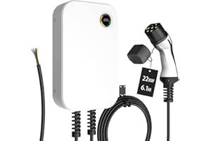 WISSENERGY EV Caricatore 32A Trifase 22KW Wall Box Stazione di Ricarica, Cavo di Ricarica Tipo 2 per Auto Elettrica IEC 62196-2, Caricabatterie Standard UE 6.1m per BEV/PHEV