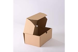 ENVELOPPEBULLE Lot de 25 Boîtes postales brunes 250x150x100 mm