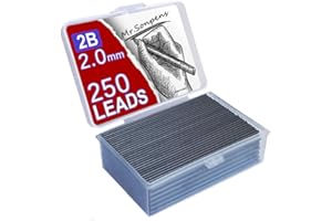 MROOFUL 1000Pcs Meccanico Matita Piombo Core 0.5 0.7 0.9 1.3 2.0mm 2B Grande Capacità Sostituibile Matita Ricarica Studente Scatola Regalo Conveniente (2.0mm)
