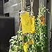 Produktbild prevently 20 Stücke Klebrige Fliegenfalle Dual Seite gelben Klebefallen ungiftige doppelseitige klebrige Insektenfallen Fliegenaufkleber Starken Fliegen Fallen Bugs Sticky Board Fang Blattlaus Pest Mörder (Mehrfarbig)