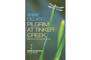Pilgrim at Tinker Creek