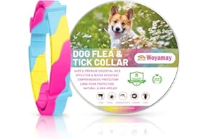WOYAMAY Collar Antiparasitario Perros, Eficaz Collar Antipulgas Perros contra Garrapatas y Mosquitos, 8 Meses de Protección Ajustable e Impermeable Collar Perro para Pequeño Mediano Grandes, Iridiscente
