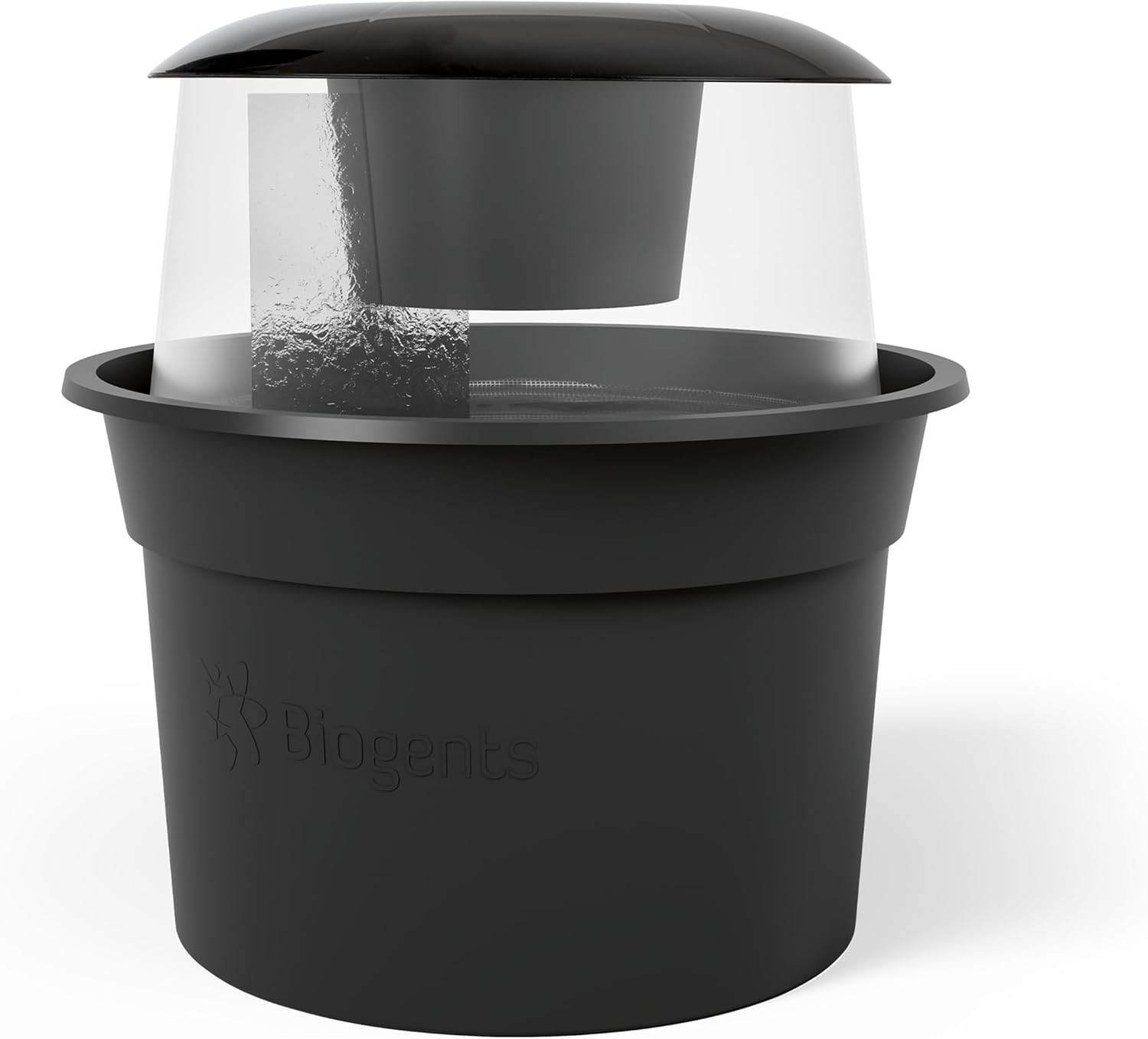 Vue 5