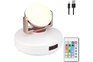 BIGLIGHT Battery Picture Light Spotlight Indoor Rechargeable Display Light with Remote Wireless Dartboard Light Accent Light 12 Colors Changing 330°Rotatable Light Head for Painting