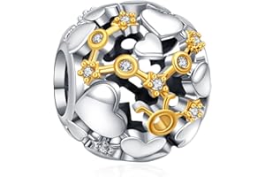 Annmors Sternzeichen Geburtstag Charm Anhänger 925 Sterling Silber für Damen Armbänder und Halskette