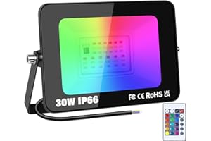 RIGIDON 1x 30W RGB faretto led esterno con telecomando, 3000LM proiettori faretti, dimmerabile stroboscopiche cambio colore lampada floodlight, IP66 impermeabile fari led per giardino palco partito