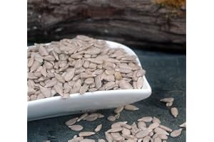 Naturix24 - Solrosfrön skalade 500 g