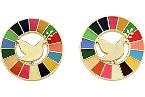 BaronHong Broche de objetivos de desarrollo sostenible, insignia de los ODS de las Naciones Unidas, pin de solapa arcoíris, decoración de pin esmaltado