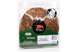 Gioia SHRIMP Feuilles de catappa XL (15-20cm) / Conditionneur d'eau Naturel/Poissons/Crevettes d'aquarium